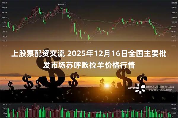 上股票配资交流 2025年12月16日全国主要批发市场苏呼欧拉羊价格行情