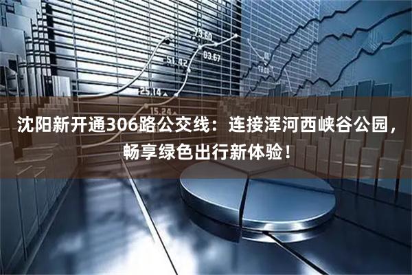 沈阳新开通306路公交线：连接浑河西峡谷公园，畅享绿色出行新体验！