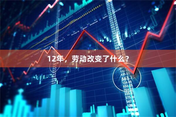 12年，劳动改变了什么？