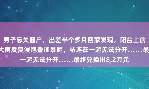男子忘关窗户，出差半个多月回家发现，阳台上的10万元钞票经过大雨反复浸泡叠加暴晒，粘连在一起无法分开……最终兑换出8.2万元